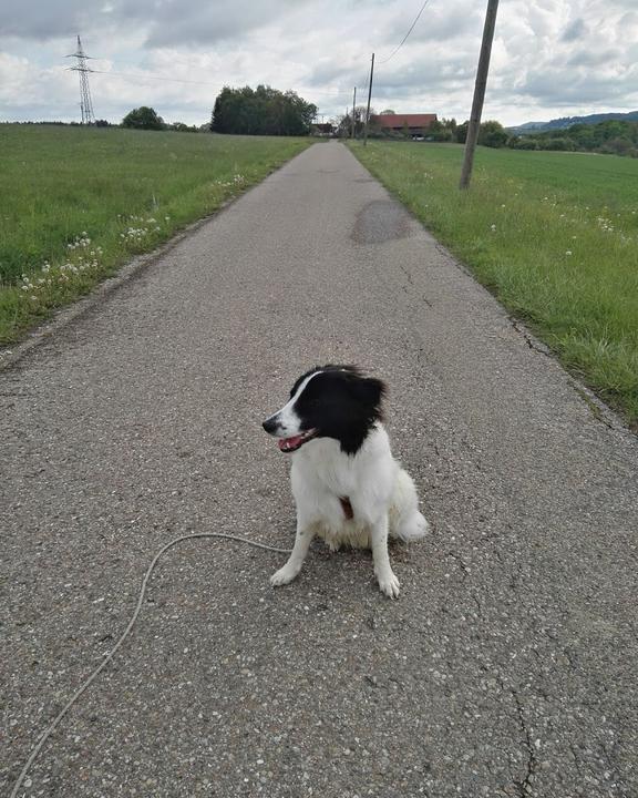 Gasthof Waldschenke